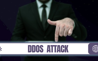 Все, что вы хотели знать о DDoS-атаках Softline